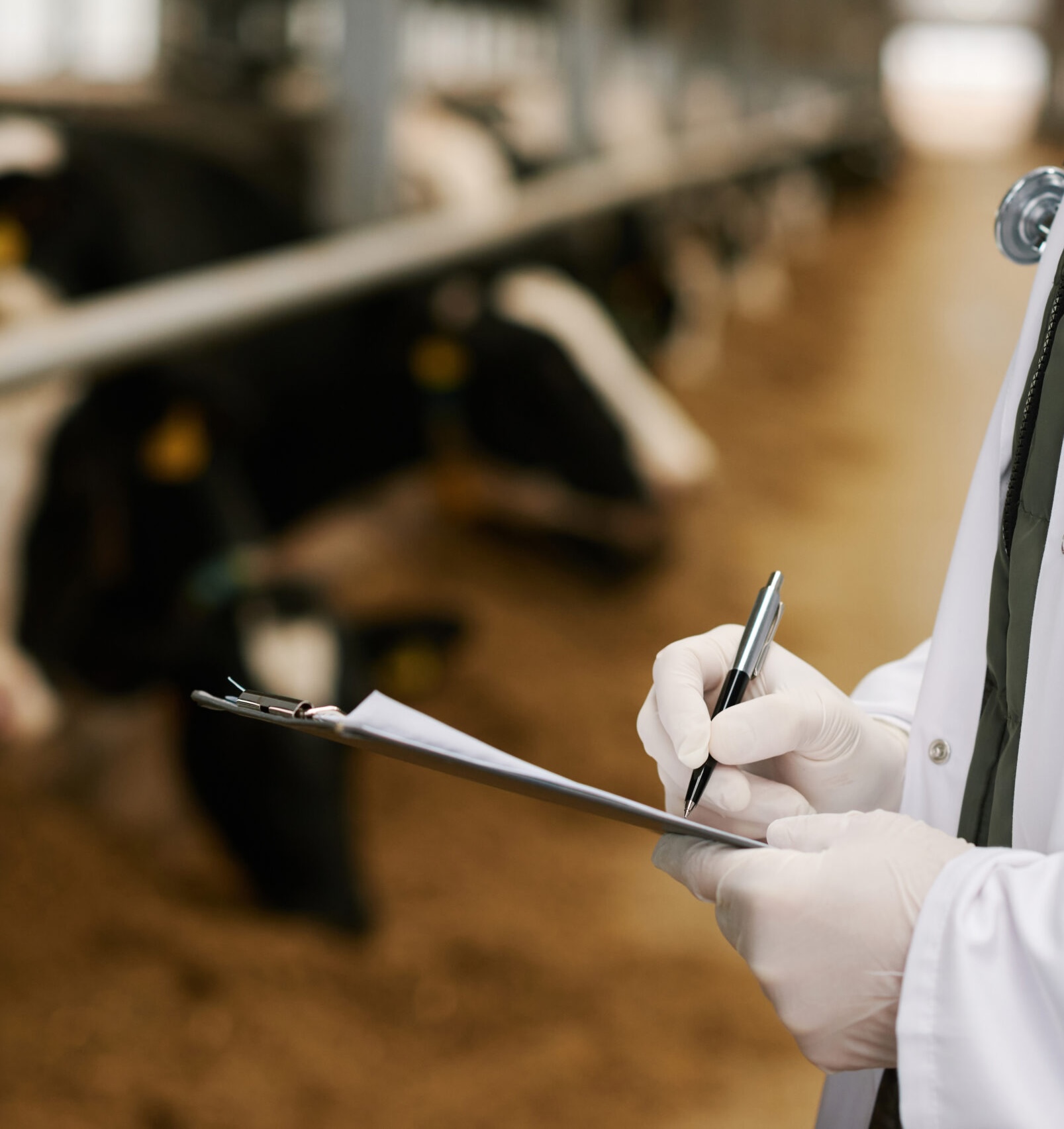 Close-up of vet doctor in uniform writing prescription in medical card during his work on farm SSUCv3H4sIAAAAAAAACpxUS46cMBTcR8odWl4HyX9wrhJlYYxprDEYgZlo1Oq7xxgMpqXMSNm1q96v3iv68f3b7QZqORsFft4e6yu8jbXL7CfpjRsCDH/s+KSHRk858j4RDnNAN8a7yUibg7X0qhtkrwM4LNau8DOSYPbSL7Oes+7Syv4jvFFKbyYt+9mbmE8S2k5aj+YtD0SYTG0eU5v77J16GzvnXU7M3eK9niKZ46MbGpYDsnG1PsKywZX0+h6UXkZPi/y1vW+JiGTICBQAe+ltjqWOWIK24v+Vuf34fQx+14Na1/h4ZlNP2mq5rXufEYiy5ZAqXLSCwoLqUha1LHnRlIK3glMuZRW7bKXB25+wuD6q3ovKpTEu28K7U9LOL/saJ6PMcM/SnO+imVKacsvgp49cKbDOjbK26+HbUFMnvJPzHMKbhOeHCdZ1fdZncD4K3quCJlxufSJCEBWMQ4EhgggLCHJPdibUieOkAZfROtnotelxndOtvISUQIyq40pX4x4B4gzIPLyzODkvs3Piqox7dfYWE2TQM+bF5FsIpoSdIcnvG8egKE/uYv0YUGEI4cYno64+7E1oc93KdXSE6edbQbSEX2rjgn2hjWCB/qmtgtXn2jATu7bL/1OIMU3+kSdtQA6DDDqsnTFG62oYOYx7EQkwJ5QKhOjBv2oElPMKQo7LI+RFIgjeYOuFq7NLkhg4ygJL2EFdFALGgrwScRy/5F2bWW8GNK8arJgowneAi7BEVlQK6UIqRhVFFcMtCVnPvwAAAP//AwBDVzjJKwYAAA==