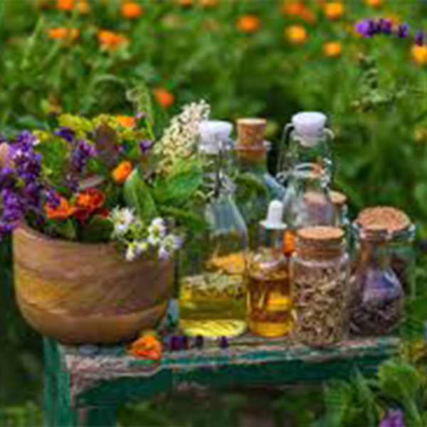 Herbs